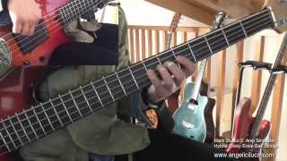 Cohiba  Daniele Silvestri  Bass Cover Ita [upl. by Teriann]