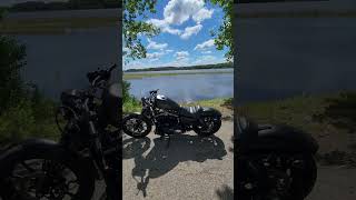 Custom HD Sportster Iron 883 Knox Lake [upl. by Housum495]