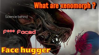 What is Xenomorph Face hugger Chest Buster from Alien franchisee movies alienromulus [upl. by Gussy419]