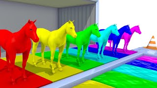 Learn Colors with Horses Water Slide Colors for Kids Nursery Rhymes for Children [upl. by Calypso]