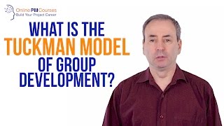 What is the Tuckman Model of Group Development PM in Under 5 [upl. by Adnal302]