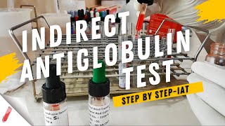 Indirect Coombs Test Procedure  Indirect Antiglobulin Test IATStep by Step [upl. by Brill907]