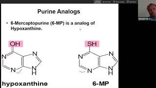 Inhibitors antimetabolites of Purine synthetic Pathway USMLE Step1 [upl. by Solly]