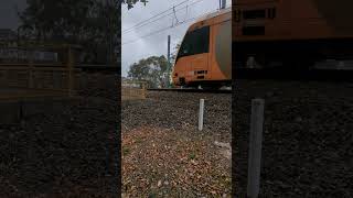 Waratah passing Toongabbie station platform 4 [upl. by Hareema618]