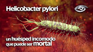 El Helicobacter pylori un huésped incomodo que puede ser mortal  Día a Día  Teleamazonas [upl. by Akimrehs]