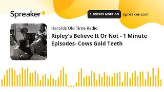 Ripleys Believe It Or Not  1 Minute Episodes Cows Gold Teeth [upl. by Nanoc]