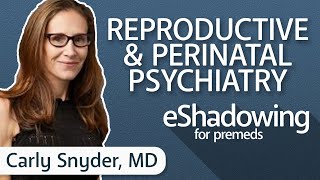 How to Become a Psychiatrist with Carly Snyder MD  eShadowing for Premeds Ep 17 [upl. by Leibarg]