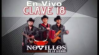 Clave 18 En Vivo Los Novillos De La Sierra [upl. by Rehotsirhc]