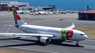 Madeira Airport Wind Action Special A330B757B767 ✈️ 19082024 [upl. by Garvey518]