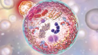 Autophagys DoubleEdged Role Epigenetic and PostTranslational Modulations in Health and Disease [upl. by Auqinet]