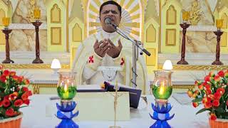 Holy Mass December 06 Wednesday I 530 AM I Malayalam I Syro Malabar I Fr Bineesh Augustine [upl. by Nerrag]