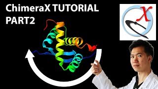 ChimeraX Tutorial  Moving 3D Proteins [upl. by Sivatco]