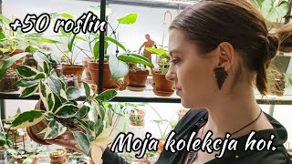 🌱 Moja kolekcja hoi 🌿  Ponad 50 roślin 😊 [upl. by Peregrine]