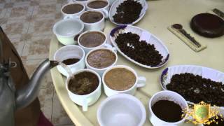 Cupping Coffee in Ethiopia [upl. by Herwick]