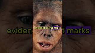 5 facts about the Homo Habilis dinosaur prehistoric caveman [upl. by Ettelra]