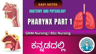 Anatomy and Physiology of Pharynx Part 1  Anatomy And Physiology In Kannada [upl. by Sirehc]