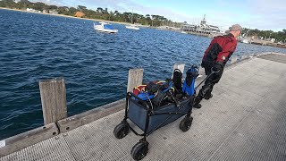 Diving Mornington Pier  18 Aug 2024 [upl. by Lalad830]