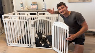 The Perfect Playpen For Your Dog [upl. by Granniah]