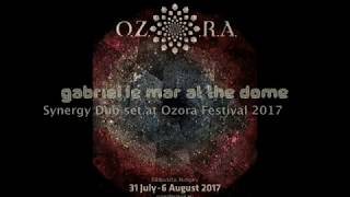 Gabriel Le Mar · Synergy Dub Set at the Dome · Ozora Festival 2017 [upl. by Maillliw155]