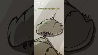 Trispine Horseshoe Crab 🦀🦂 animation original cartoon [upl. by Rellim]