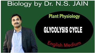 Glycolysis Cycle Plant Physiology  English Medium [upl. by Llertnauq]