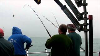 South Coast Sea Fishing Trips [upl. by Cohl]