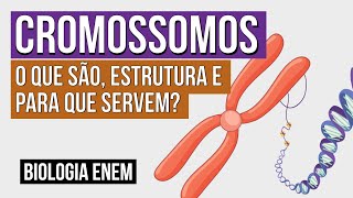 CROMOSSOMOS o que são estrutura e para que servem  Biologia para o Enem  Cláudia Souza Aguiar [upl. by Reniti763]