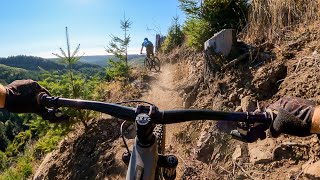 Whiskey Run is UNDISTILLED FUN  Mountain Biking Bandon Oregon [upl. by Ahsratal]