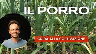 Il Porro Guida Completa alla Coltivazione  Consigli Trucchi e Tecniche [upl. by Eden760]