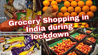 Grocery Shopping During Quarantine  India Lockdown Day 20  Reliance Smart Grocery Store [upl. by Enyaj]