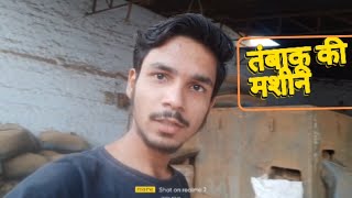 tambaku kaise banata hai  तंबाकू कैसे बनता है [upl. by Ihdin584]