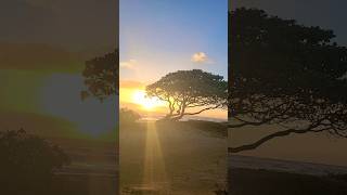 RISING SUN penelope kauai hawaii workcation sunrise beautiful wakeup shorts [upl. by Mira]