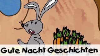 😴 Gute Nacht Geschichte Häschen aus der Grube  Geschichten für Kinder [upl. by Hplar]