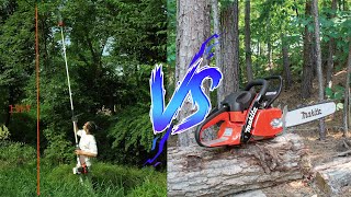 Pole Saw vs Chainsaw [upl. by Fulbert]