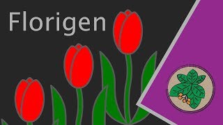 How do Tulips know when its Spring [upl. by Ambrogio]