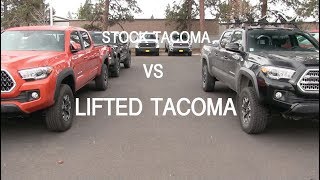 Stock amp Lifted Tacomas SideBySide [upl. by Pallua]