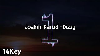 Joakim Karud  Dizzy  Lyrics [upl. by Aynodal113]