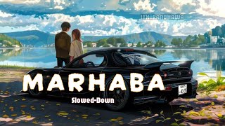 Marhaba SlowedReverb Ali Quli Mirza ftRavi Arora New Song Trending 2024MSLOFI [upl. by Nnayelhsa616]