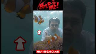 PENAMPAKAN HIU MEGALODON SAAT MENYELAM memes funny shorts [upl. by Anitteb464]