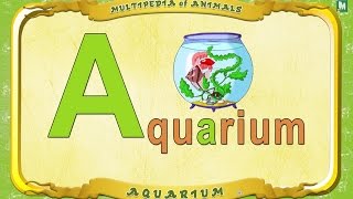 Multipedia of Animals  Letter A  Aquarium [upl. by O'Dell27]