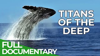 Titans of the Deep  The Fascinating World of Whales  Free Documentary Nature [upl. by Eirelam629]