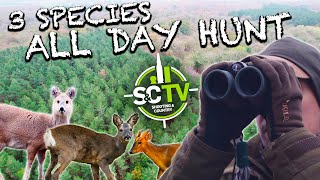 SampC TV  Deer management with Chris Rogers 17  3 species 8 deer all day hunt [upl. by Nref]