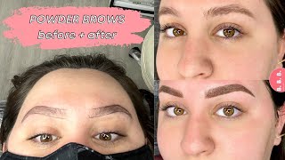 I GOT POWDER BROWS healing process  daily progress [upl. by Cesar]