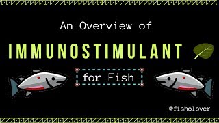 An Overview of Immunostimulant for Fish [upl. by Anas105]