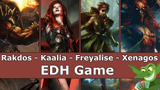 Rakdos vs Kaalia vs Freyalise vs Xenagos EDH  CMDR game play for Magic The Gathering [upl. by Airual523]