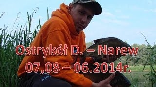 Ostrykół Dworski  Narew 0708  062014r [upl. by Ahtelrac]