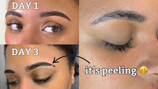 HEALING PROCESS DAY BY DAY AFTER GETTING MY EYEBROWS MICROSHADED [upl. by Ulda]