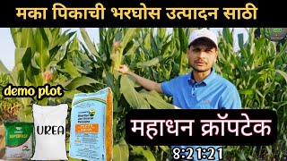 महाधन क्राॅपटेक82121 मका पिकाच्या भरघोस उत्पादन 🌽Mahadhan Kraptech82121 High yield of maize crop [upl. by Leonora]