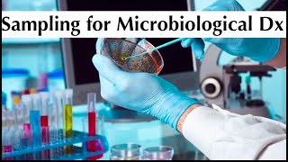 Microbiology 1st practical tuotorial quotsampling for microbiological diagnosisquot by ASM Minds [upl. by Algie371]