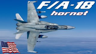 FA18 HORNET  American Supersonic Twin Engine Combat Jet Made By McDonnell Douglas HD Documentary [upl. by Aneekan768]